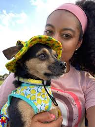 Thanks to this page my dogs kind of hate me 😂 no luck