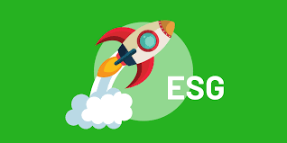 These will be well regulated with set procedures and career paths. Cfa Esg Certificate Our Easy Guide 300hours