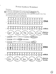 Phonetic quizzes as worksheets to print. Https Www Manhassetschools Org Cms Lib Ny01913789 Centricity Domain 709 Protein 20synthesis 20packet 20key Pdf