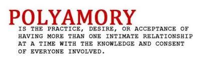 No single definition of polyamory can entirely satisfy every person who thinks of themselves as polyamorous. Polyamory Definition By Kaelanwolf Fur Affinity Dot Net