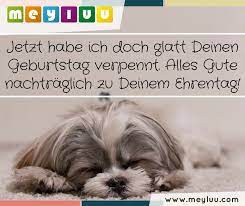 Möge gott ihnen mehr jahre der zusammengehörigkeit, glück und wohlstand geben. Tierische Geburtstagsgrusse Alles Gute Nachtraglich Zu Deinem Geburtstag Haustier Adoption Gluckwunsch Nachtraglich Gluckwunsche Nachtraglich Zum Geburtstag