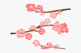 A circle over a star like pattern works nicely as we can separate the inner parts of the flower from the outer parts. Drawn Cherry Blossom Vector Draw Cherry Blossom Branch Hd Png Download Kindpng