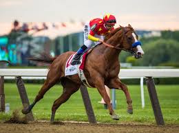 Horse racing fans and partygoers combine to make the kentucky derby infield a place for one of the biggest outdoor celebrations of the kentucky derby. Twenty Horse Racing Questions For National Trivia Day America S Best Racing