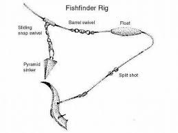 Fish have a sixth sense that humans do not. Beginners Guide To Salt Water Bottom Fishing Florida Marine Times Justfishing Saltwaterfishingflorida Beginn Bottom Fishing Saltwater Fishing Fishing Tips