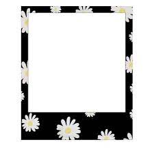 Kartinka S Tegom Flowers Frame And Black Polaroid Frame Polaroid Picture Frame Polaroid Frame Png