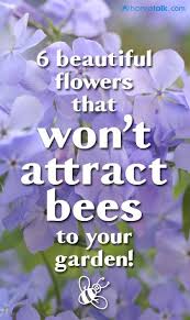 Check spelling or type a new query. What Plants Not To Plant For Bees Plants For Bees Plants That Don T Attract Bees Bee On Flower