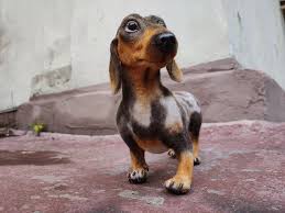 … is akc registered,(limited) additional cost for full akc. 49 Dachshund Stuffed Animals On Tedsby