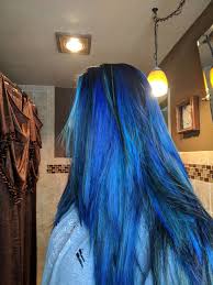Blue And Purple Hair Purple Looks Black But Not In The Sun Love It Mermaid Hair Color Blue Hair Hair