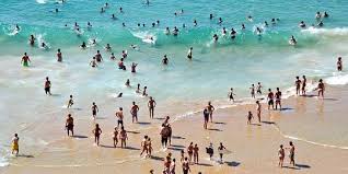 We did not find results for: 40 Kata Kata Pantai Untuk Caption Sosial Media Bikin Hati Sejuk Dan Tenang Merdeka Com