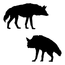Blackaardwolf