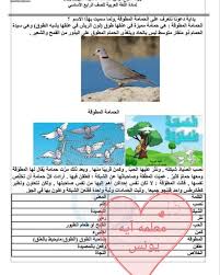 اكتب قصة الحمامة المطوقة من ذاكرتي في اربع فقرات واحد من اهم الاسئلة التعليمية التي وردت في كتاب لغتي الخالدة من الصف الرابع الابتدائي الفصل. Ø§Ù„Ø±Ø§Ø¨Ø¹ Ø§Ù„Ø£Ø³Ø§Ø³ÙŠ Ù…Ø§Ø¯Ø© Ø§Ù„Ù„ØºØ© ØµÙØ­Ø© Ù…Ø¯Ø§Ø±Ø³ Ø¨ÙˆØ§Ø¨Ø© Ø§Ù„Ù…Ø¯ÙŠÙ†Ø© Facebook