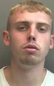 THE SELBY CRIMES AND INCIDENTS.