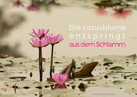 Chinesische Weisheiten Und Sprüche