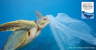 Plastic Pollution 70 Reduction Target Plastic Pollution Marine Animals Ocean Pollution