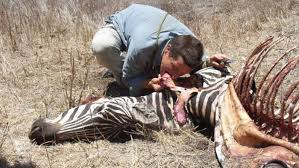 Are you ready to discover how he achieved one of the strangest world records ever, how. Here Are 11 Living Things Bear Grylls Has Eaten If He Is In Town Hide Your Pets