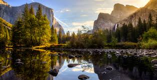 To protect yosemite from invasive species that live inside cut wood, we ask guests to purchase their firewood as close to their camping destination as possible. Yosemite National Park Will Reopen This Week With New Reservation System Mapped