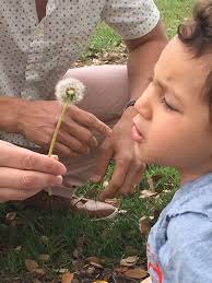 Rowan's Story: Little boys should not have to play