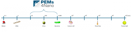 Check spelling or type a new query. Sizes And Dimensions Nm Pems4nano Pems4nano