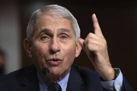 Anthony fauci, director of the national institute of allergy and infectious diseases and one of the american people's only hopes for competency in the trump administration as it combats the novel coronavirus, appeared on fox news in an interview with laura ingraham thursday night and — much. Trump Biden Try To Line Up By Fauci As They Court Voters