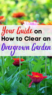 Your Guide To Overgrown Garden Clearing Clearing Garden Guide Overgrown In 2020 Garden Garden Help Grasses Garden