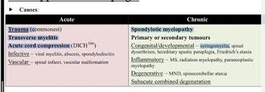 Sep 10, 2020 · what causes transverse myelitis? 31 Paraplegia Spinal Cord Compression Transverse Myelitis Spinal Dysraphism Neuroimaging Iii Spinal Cord Flashcards Quizlet