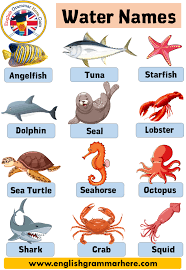 The scariest creatures currently lurking in the deep sea, ranked by how horrifying they are. 7 Water Animals Name With Pictures Definition And Examples English Grammar Here