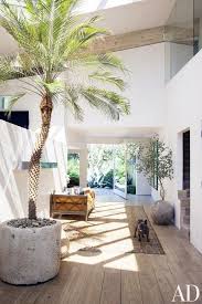 How To Decorate With Large Indoor Plants In Every Home Malibu Homes Beach House Decor House Design