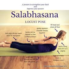 Salabhasana Vinyasa Yoga Teacher Training Ashtanga Vinyasa Yoga Yoga Poses Advanced