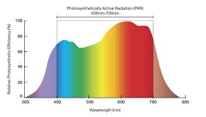 Light can be natural (outdoor growing) or artificial (indoor growing). Grow Light Spectrum Explained Ideal Led Spectrum For Plants