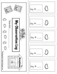 Lima Bean Observation Log Plant Science Kindergarten