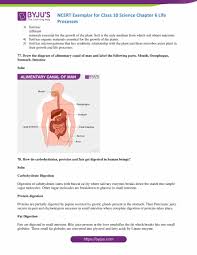 Hello guys welcome to my channel mukesh art room today i draw the diagram of human heart but today i can't explain or lable because today is my examination s. Ncert Exemplar Class 10 Science Solutions Chapter 6 Access Pdf For Free