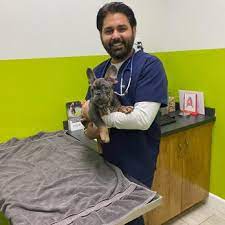 Jun 30, 2021 · knoxville, tenn. City Pet Hospital 169 Photos 139 Reviews Veterinarians 170 Skyline Plz Daly City Ca Phone Number Yelp