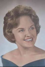 Judy Stermetz Obituary (2024)