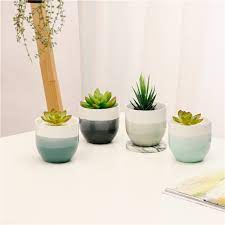 See more ideas about calathea plant, calathea, house plants. Fancy Ombre Design Hotel Ornaments Ceramic Indoor Decorative Plant Pot For Flower Buy Plant Pot Decotative Plant Pot Ceramic Indoor Plant Pots Product On Alibaba Com