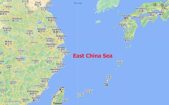 Due to the favourable water conditions, the fauna of the East China Sea is  rich in various species of fish and animals, sharks and dolphins can be  found here