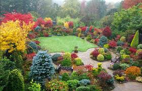 English Style Garden Using Japanese Maples And Conifers Japanese Garden English Garden Vegetable Garden Design
