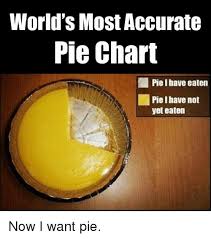 Worlds Most Accurate Pie Chart Piel Have Eaten Pie I Have