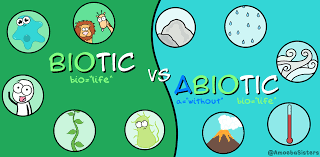 Ecosystem Biotic And Abiotic Factors Worksheet Biotic Vs Abiotic Factors I Biology I The Amoeba Sisters Abiotic 6th Grade Science Biotic