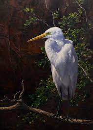Andrew Tischler Wildlife Paintings Animal Paintings Wildlife Art
