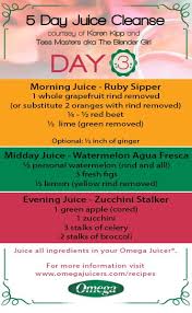 5 Day Juice Cleanse Recipe Types Omega Recipes 5 Day Juice Cleanse Juice Cleanse Recipes Juice Cleanse