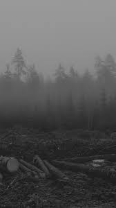 A collection of the top 54 simple black and white wallpapers and backgrounds available for download for free. Wood Cut Tree Black White Nature Android Wallpaper Android Hd Wallpapers