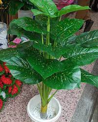 The luyue vintage artificial peony silk flower bouquet is a lovely bouquet of artificial flowers that are ideal for weddings and other special events. Artificial Flowers Ke Home Facebook