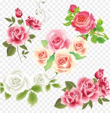 We did not find results for: Pink White Rose Flower Vector Pink Rose Flower Vector Mothers Day 2018 Greetings Png Image With Transparent Background Toppng