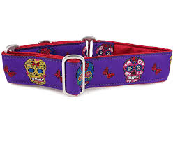 How to measure dog for martingale collar. Sugar Skulls In Purple Martingale Dog Collar Or Buckle Dog Collar
