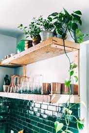 plankjes met planten makeover nl thuisdecoratie keuken ontwerp gerenoveerde keuken