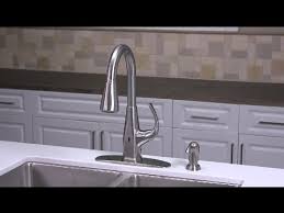 selia pull out kitchen faucet