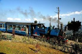 Pin On Forests Trains 2
