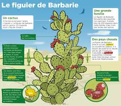 Epingle Par Marco Cordova Sur Mon Quotidien Culture G Lecon De Choses Culture Generale Fle