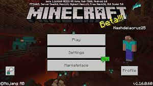 Old cave carver placement is now on parity with java edition. Bedrock Edition Beta 1 16 0 60 Minecraft Wiki