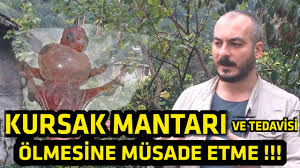 Muhabbet Kusu Kursak Mantari Tedavisi Youtube
